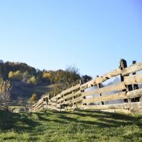 Tredgjerder på en eng